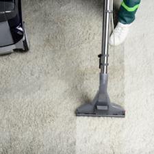 Why Carpet Cleaning Is Important For Your Home