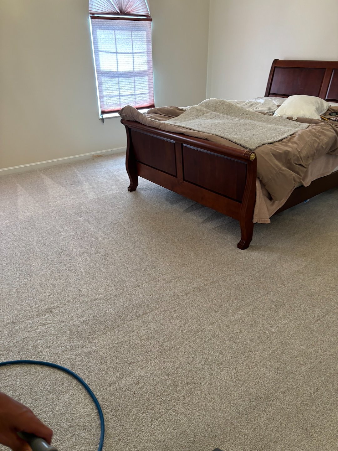 Eco-Friendly Carpet Cleaning in Cranberry Township, PA: A Healthier Choice for Your Home or Business