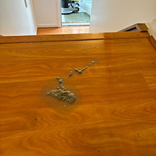 Hardwood-Laminate-Floor-Cleaning-And-Wax-Removal-Pittsburgh-PA-1 0