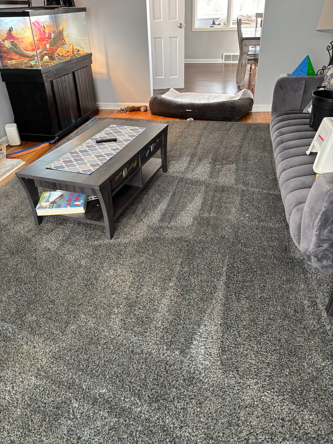 Organic Carpet and Rug Cleaning Services in Mt. Lebanon, PA