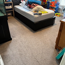 Organic-Carpet-and-Rug-Cleaning-Services-in-Mt-Lebanon-PA 1