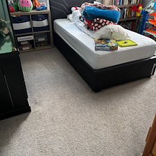 Organic-Carpet-and-Rug-Cleaning-Services-in-Mt-Lebanon-PA 0