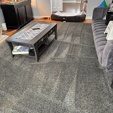 Organic Carpet and Rug Cleaning Services in Mt. Lebanon, PA