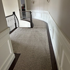 Organic Carpet Cleaning in Bethel Park & Upper St. Clair, PA: A Safer, Greener Choice