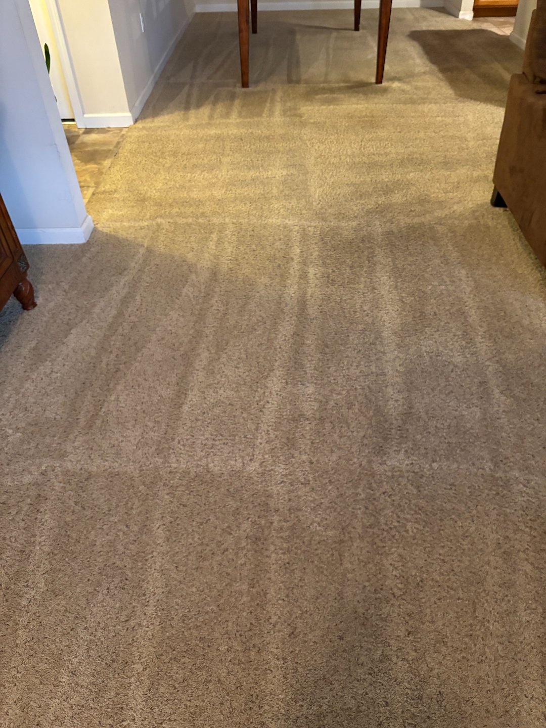 Organic Carpet Cleaning in Fox Chapel, PA: A Safe and Eco-Friendly Solution