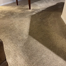 Organic-Carpet-Cleaning-in-Fox-Chapel-PA-A-Safe-and-Eco-Friendly-Solution 1