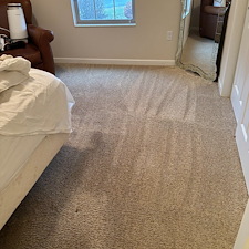 Organic-Carpet-Cleaning-in-Fox-Chapel-PA-A-Safe-and-Eco-Friendly-Solution 3