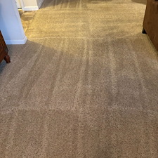 Organic Carpet Cleaning in Fox Chapel, PA: A Safe and Eco-Friendly Solution