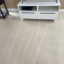 Organic Carpet Cleaning in Canonsburg & Peters Township, PA – A Healthier, Eco-Friendly Solution