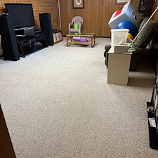 Organic-Carpet-Cleaning-in-Canonsburg-Peters-Township-PA-A-Healthier-Eco-Friendly-Solution 0