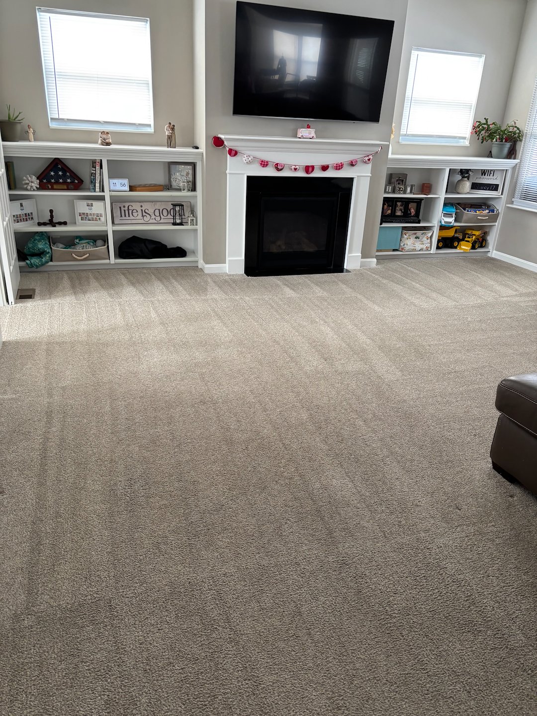 Organic Carpet Cleaning Mt Lebanon | Scott Twp PA 