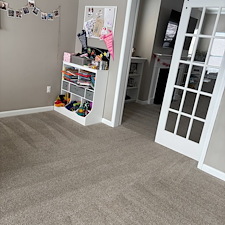 Organic-Carpet-Cleaning-Mt-Lebanon-Scott-Twp-PA 1