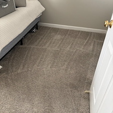 Organic-Carpet-Cleaning-Mt-Lebanon-Scott-Twp-PA 3