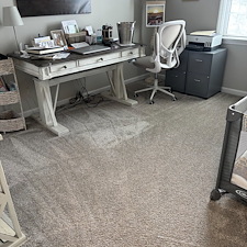 Organic-Carpet-Cleaning-Mt-Lebanon-Scott-Twp-PA 2