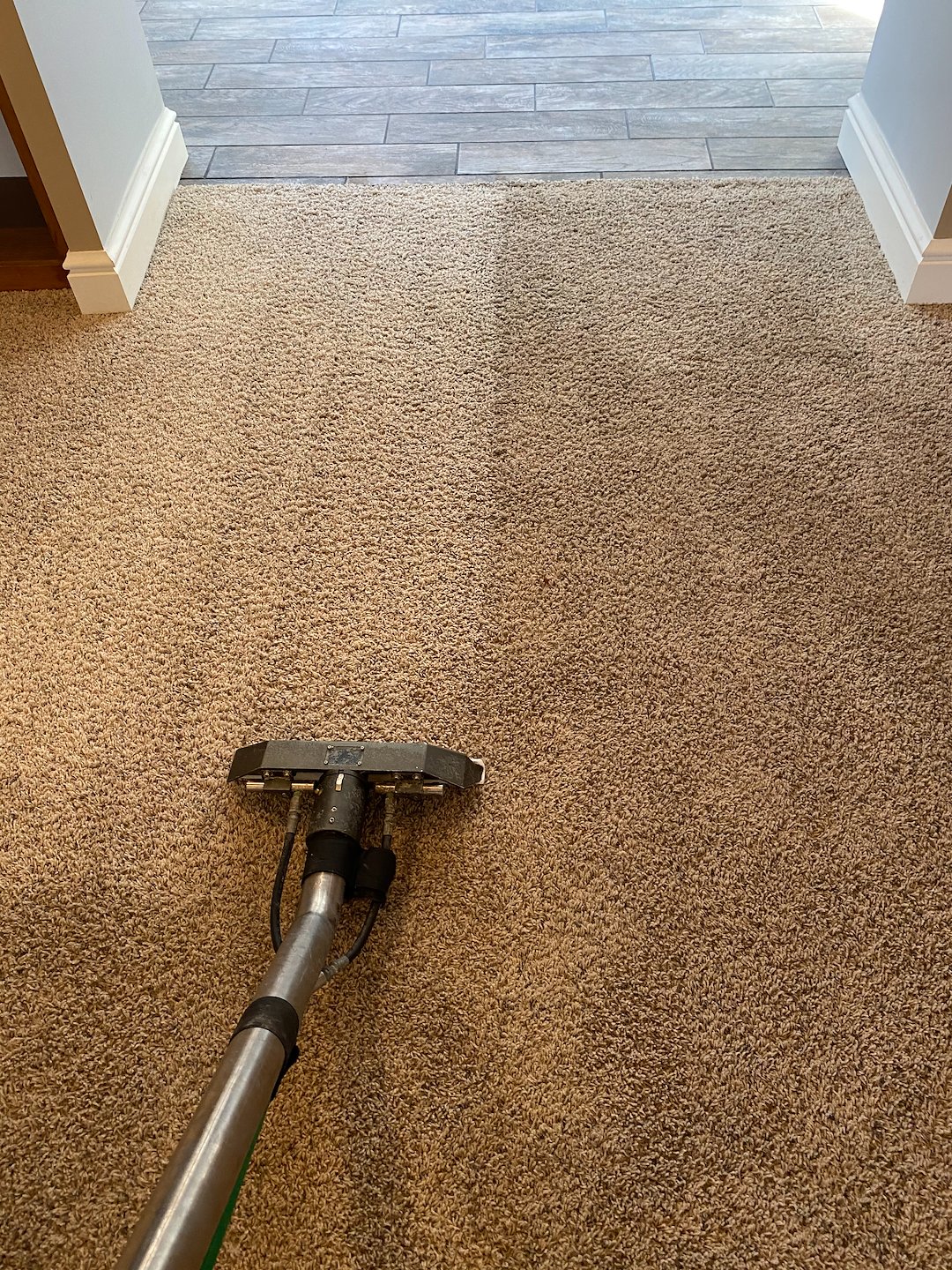 Organic Carpet Cleaning Services in Wexford & Franklin Park, PA