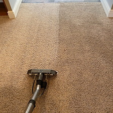 Organic Carpet Cleaning Services in Wexford & Franklin Park, PA