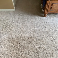 Organic-Carpet-Cleaning-Services-in-Wexford-Franklin-Park-PA 1