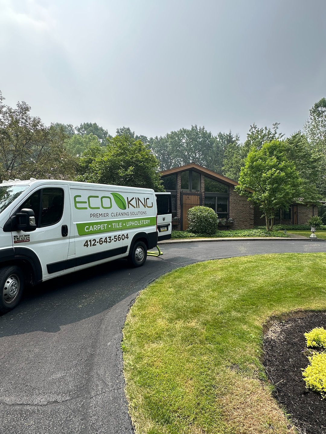 Organic Carpet Cleaning Steam Cleaner Wexford | Pine Twp PA