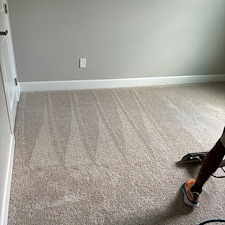 Organic-Carpet-Cleaning-Steam-Cleaner-Wexford-Pine-Twp-PA 1