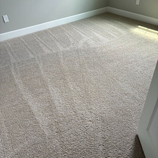 Organic-Carpet-Cleaning-Steam-Cleaner-Wexford-Pine-Twp-PA 2