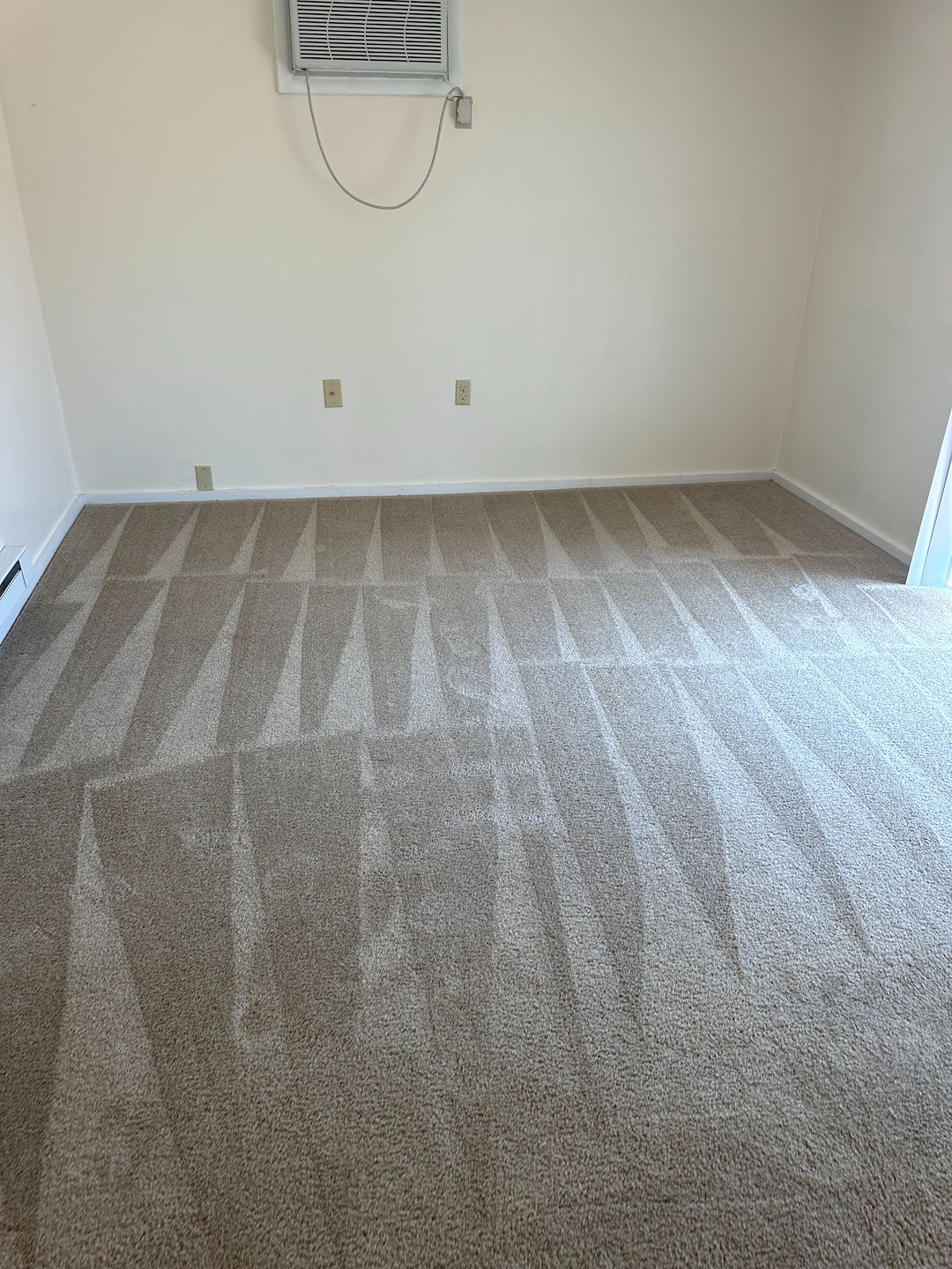 Organic Carpet Cleaning Wexford | Gibsonia PA