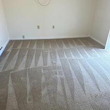 Organic Carpet Cleaning Wexford | Gibsonia PA