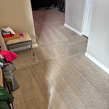 Organic-Carpet-Steam-Cleaning-Pleasant-Hills-Bethel-Park-PA 3