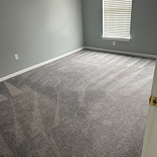 Organic-Carpet-Steam-Cleaning-Wexford-PA 0