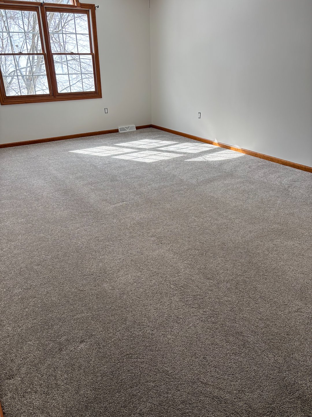 Very Low Moisture Carpet Cleaning in Pittsburgh: Fast-Drying, No Soap Residue, Eco-Friendly Solution for Hotels & Businesses